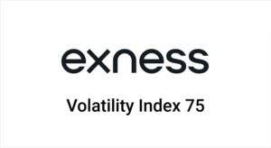 Does Exness offer volatility 75 index trading?