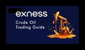 Exness crude oil trading