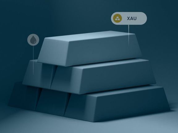 Exness Commodity Trading Platform